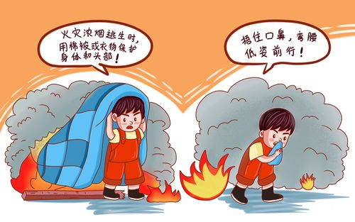 图片 3.png